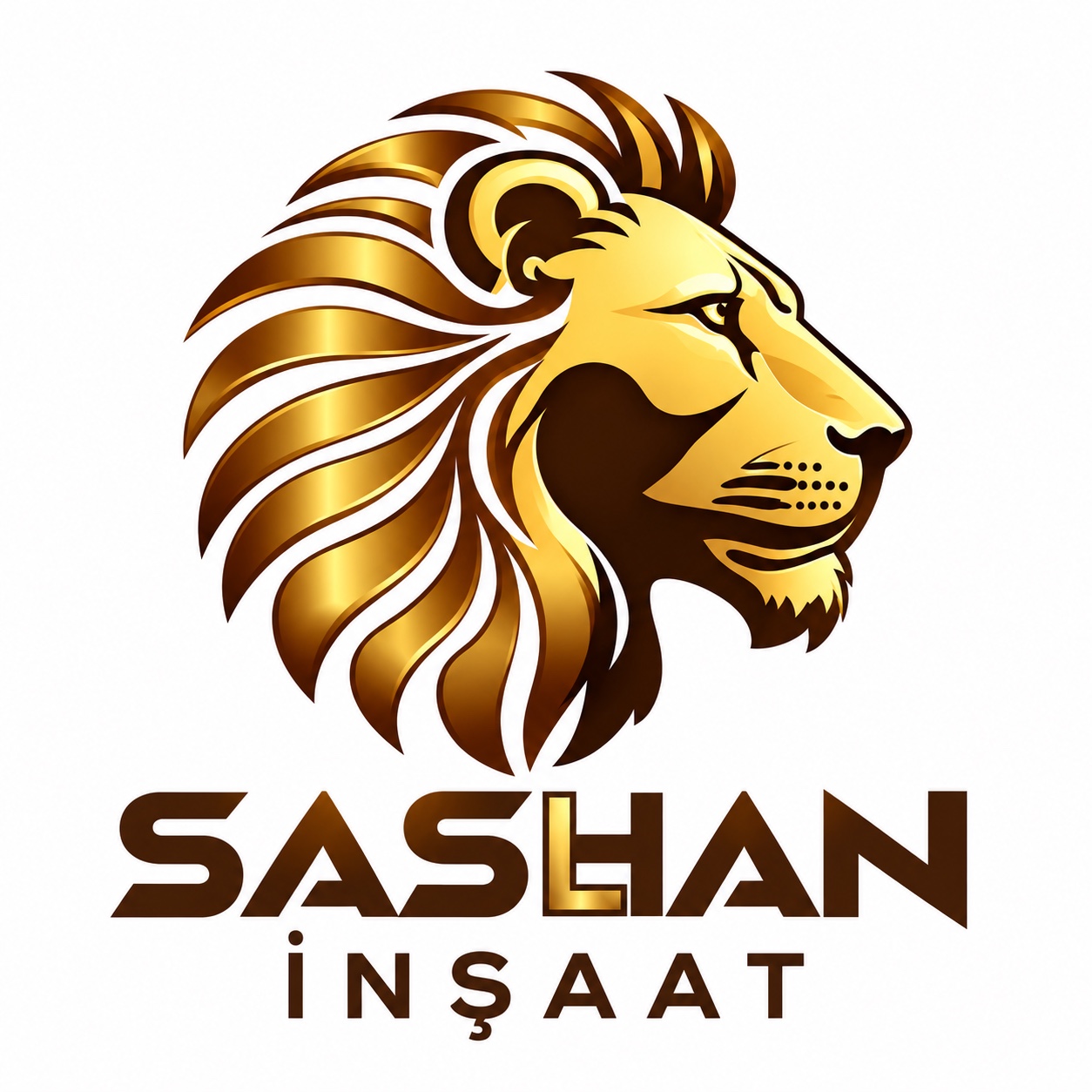 Sashan İnşaat